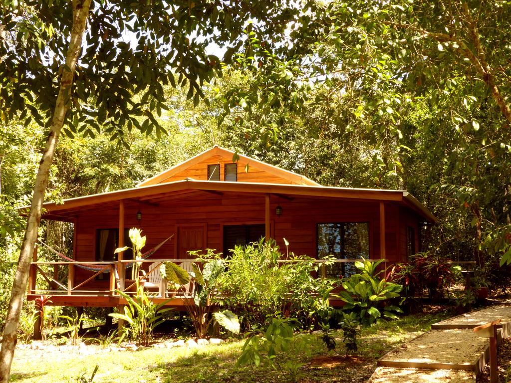 Vanilla Hills Resort San Ignacio Kamer foto