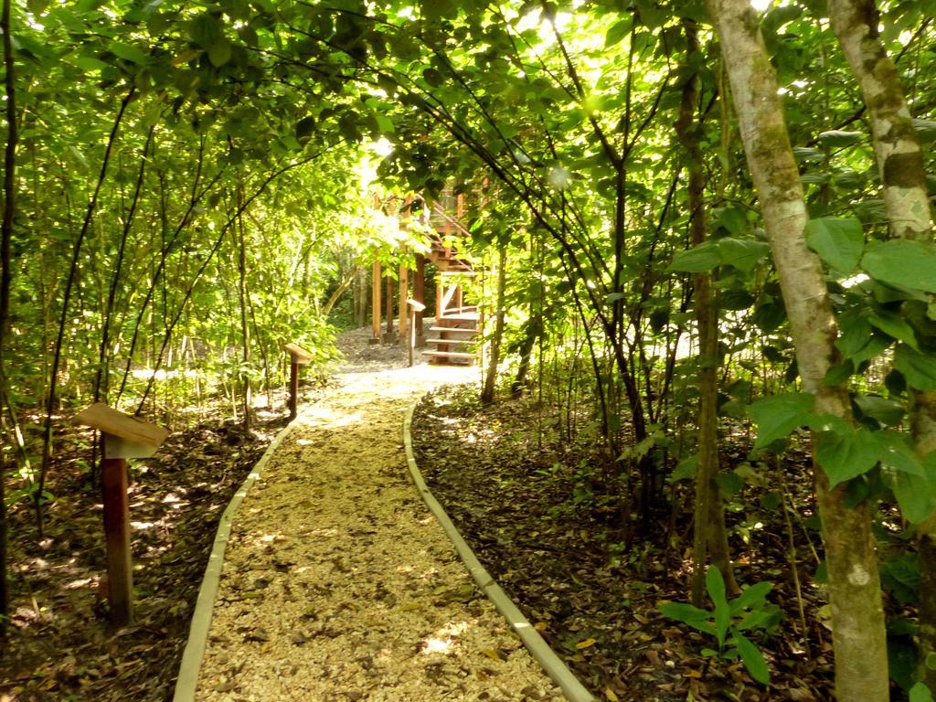 Vanilla Hills Resort San Ignacio Kamer foto