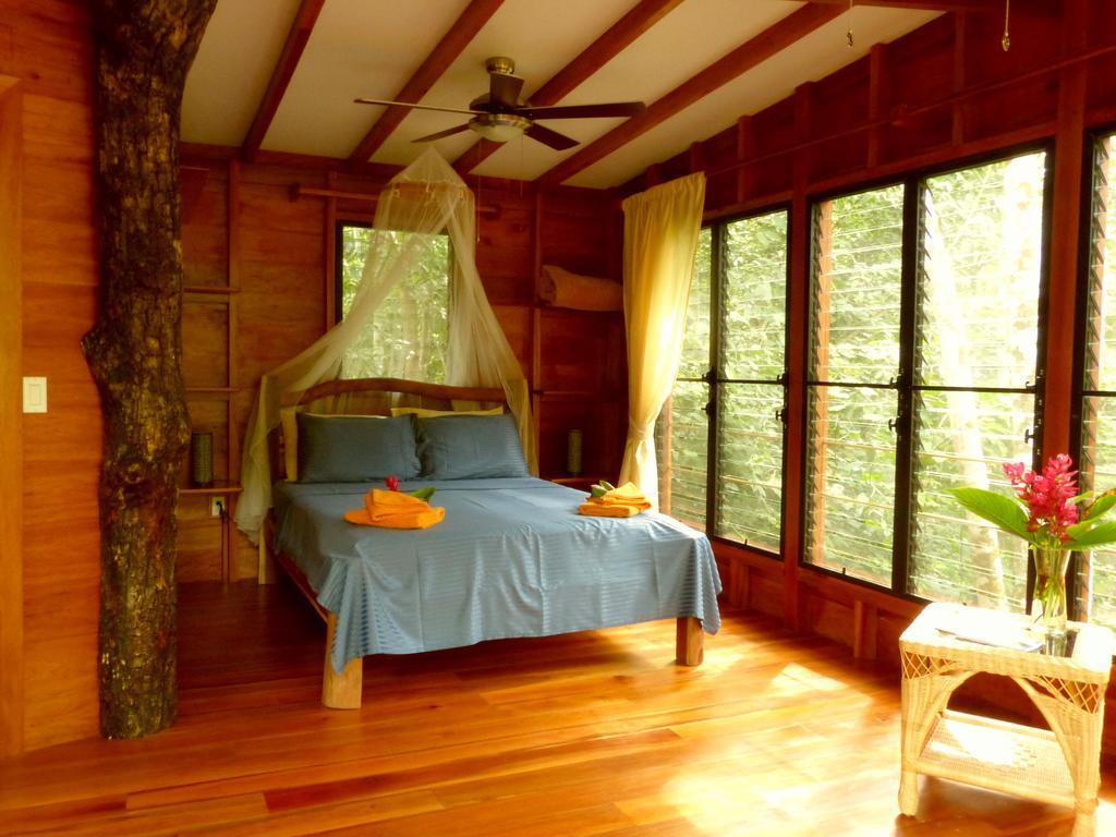 Vanilla Hills Resort San Ignacio Kamer foto