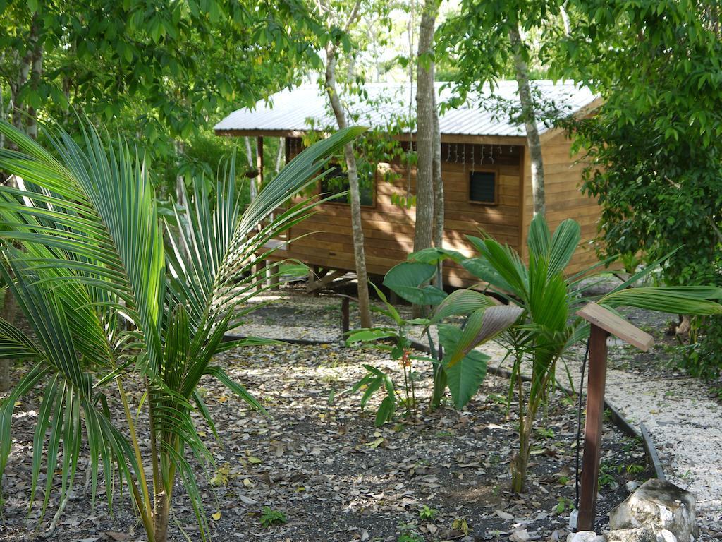 Vanilla Hills Resort San Ignacio Buitenkant foto